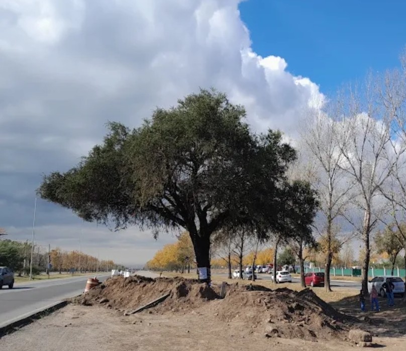 Salven al Quebracho blanco 